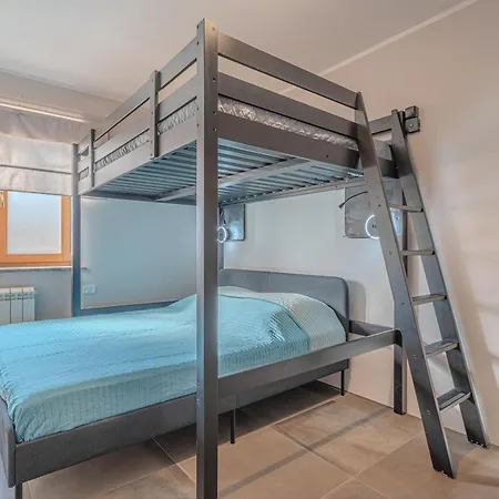 Seaview Double D - Happy *