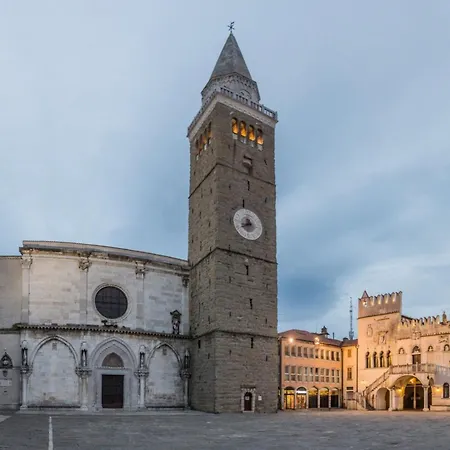 Seaview Double D - Happy Daire