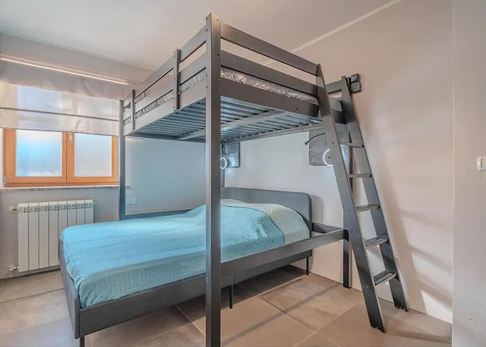 Seaview Double D - Happy *