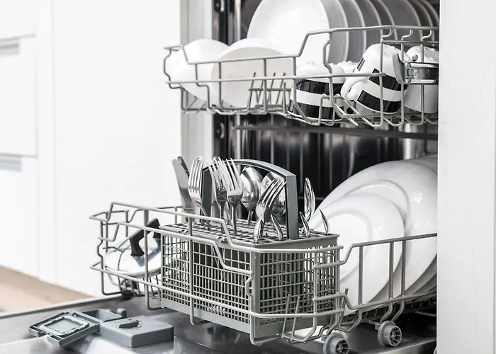 Seaview Double D - Happy * 코페르